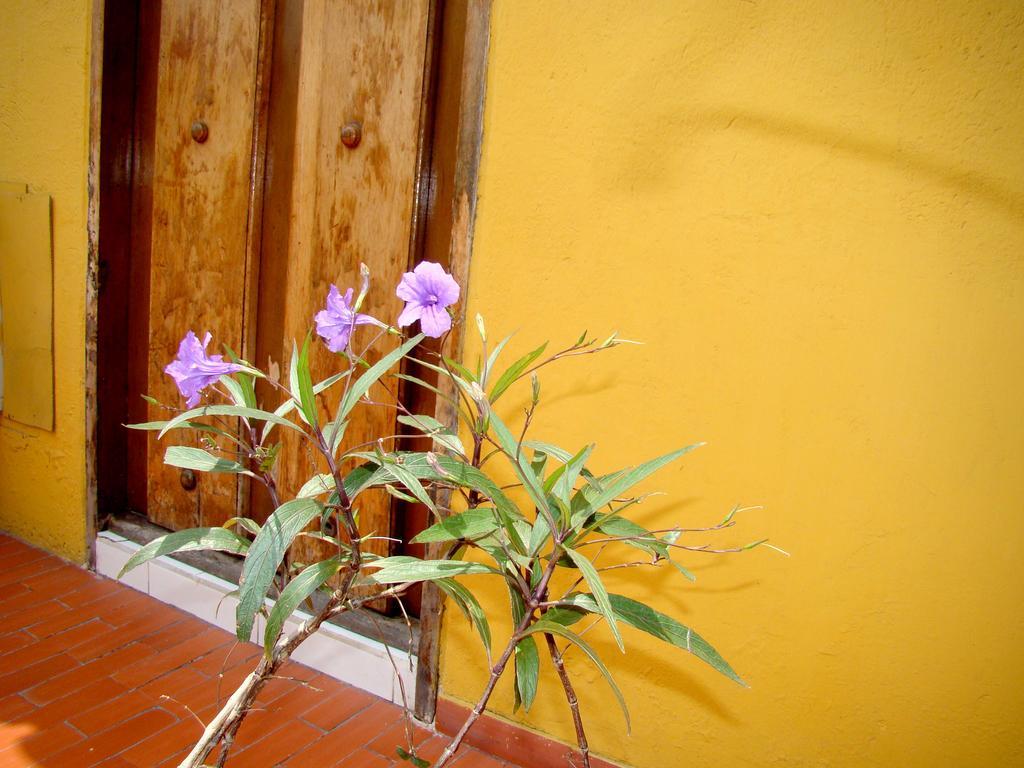 Hotel Casa Vieja Santa Marta  Eksteriør billede